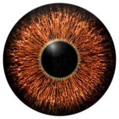 Sharp colourful eye texture