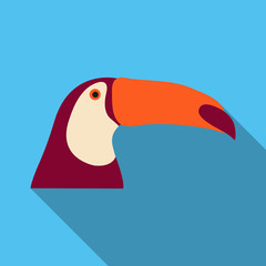 brazilian toucan bird nature