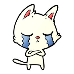 crying cartoon cat