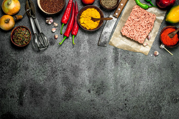 Minced beef with various spices and herbs.