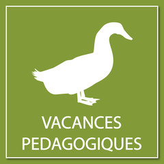Logo vacances pédagogiques.