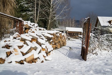 Cut wood under the snow. Slovakia
