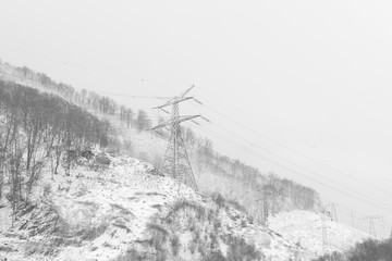 Nature under the snow during winter. Slovakia