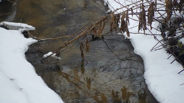 Countryside river flows in the winter closeup 