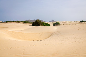 Viana Desert, Boa Vista, Cape Verde