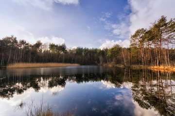 Lake and marsh in the Mazovian Landscape Park in Poland.