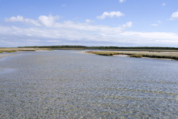 Laesoe / Denmark: Little salt marsh islands in the south of the island