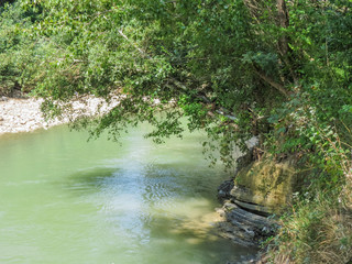 River, greenery, trees, water, coolness, summer, sunnily, dry weather, nature, without a man, mood, steep bank, lithoidal, hard, barrel, branches, leaves