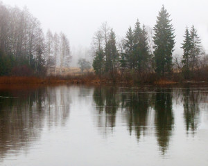 Fototapeta na wymiar grey autumn day trees reflected in the water