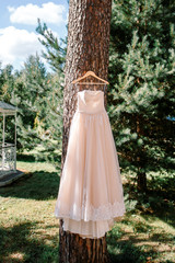 Beautiful wedding dress hanging on the tree. A wedding in the summer.