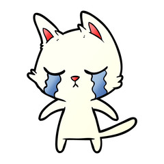 crying cartoon cat
