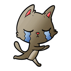 crying cartoon cat running
