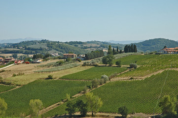 Umbria: Colline, uliveti e vigneti  fra Montefalco ed Assisi