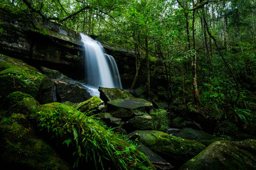 Obraz premium Waterfall in the tropical rainforest landscape