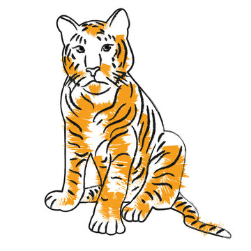 sketch of a tiger sitting