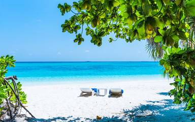 Luxury vacation in the Maldives. Loungers on a tropical beach. The turquoise water of the lagoon. 