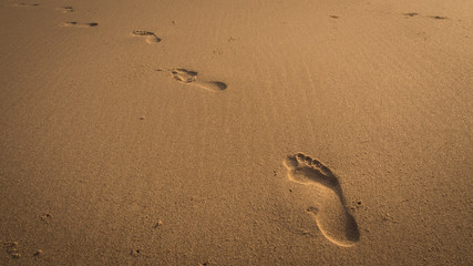 foot prints in the sand