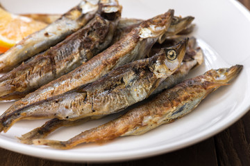 Grilled fish capelin or shishamo on white plate