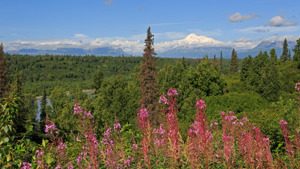 Denali