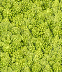 seamless green abstract background from Romanesco broccoli