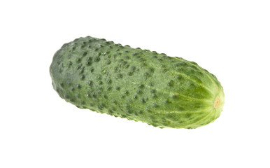 fresh green cucumber isolated on white background