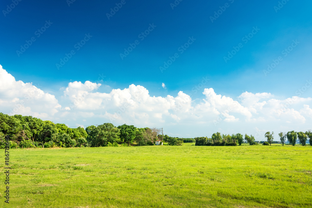 Poster Green meadow under blue sky with clouds