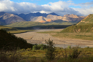 Fototapeta premium Denali Nationalpark