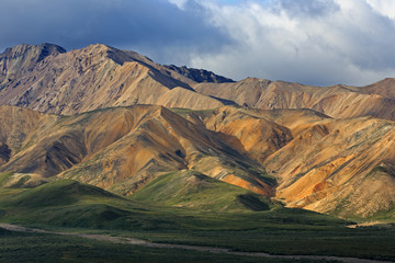 Denali Nationalpark