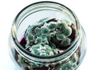 Open glass jar with mold grown on forgotten boiled beetroot closeup isolated on white background