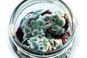 Open glass jar with mold grown on forgotten boiled beetroot closeup isolated on white background