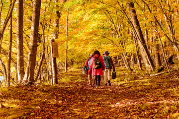 People trekking along the walking trail in autumn season in japan