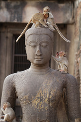 Fototapeta premium Children Monkey standing playing on ancient Buddha head statue, Candid animal wildlife picture waiting for food, group of mammal on historical travel destination in Asia