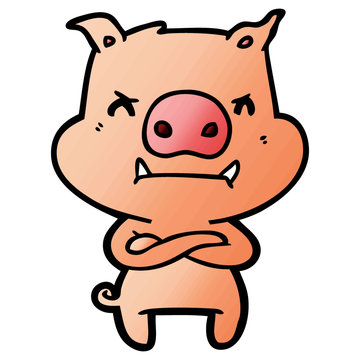 angry cartoon pig