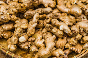Bunch of Turmerics in the tray on the wooden table