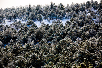 Fototapeta na wymiar A view from the winter season