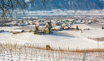 winter vineyards landscape, covered with snow. Trentino Alto Adige, Italy. Main economic factors...