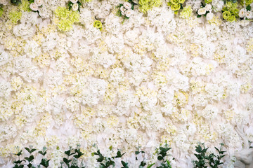 White flowers