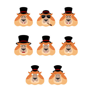 Groundhog Day. Groundhog In Hat Set Emoji Avatar. Sad And Angry Face. Guilty And Sleeping. Woodchuck Sleeping Emotion Face. Marmot  Eggplant. Vector Illustration