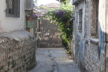 Old Street in Green