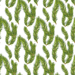 Christmas seamless background from fir tree branches. Vector illustration for your design