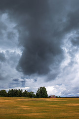 Naklejka na ściany i meble Cloudy summer afternoon in latvian countryside.