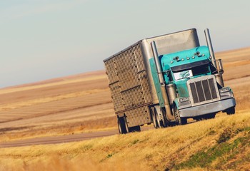 Semi Truck on Prairie Road