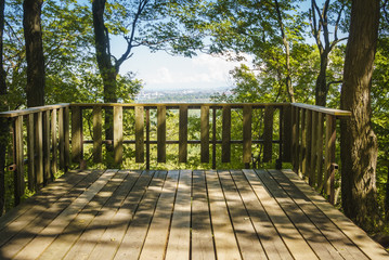 Deck overlooking forest