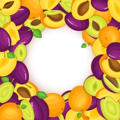 Round colored frame composed of delicious apricots plum fruit. Vector card illustration. Circle hole apricots, plums frame. Ripe fruits for design of food packaging juice breakfast cosmetic detox diet