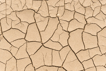 Dry land. Cracked ground background.