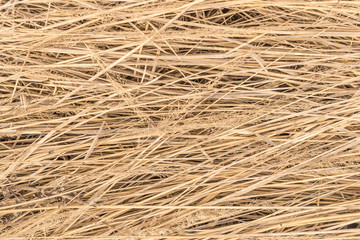 Close up of straw background texture