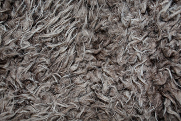 Fur texture 2