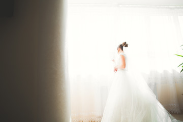 Fototapeta premium Beautiful bride wearing fashion wedding dress with feathers with luxury delight make-up and hairstyle, studio indoor photo shoot