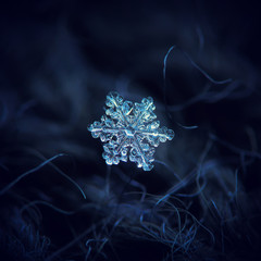 Snowflake at high magnification. Macro photo of real snow crystal: small stellar dendrite with...
