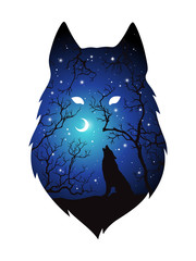 Obraz premium Podwójna ekspozycja sylwetka wilka w nocnym lesie, błękitne niebo z półksiężycem i gwiazdami na białym tle. Ilustracja wektorowa projekt naklejki, druku lub tatuażu. Pogański totem, wiccanowska sztuka chowańca